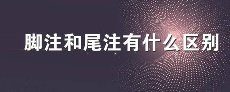 脚注和尾注的区别(在论文写作中，脚注和尾注有什么不同？)