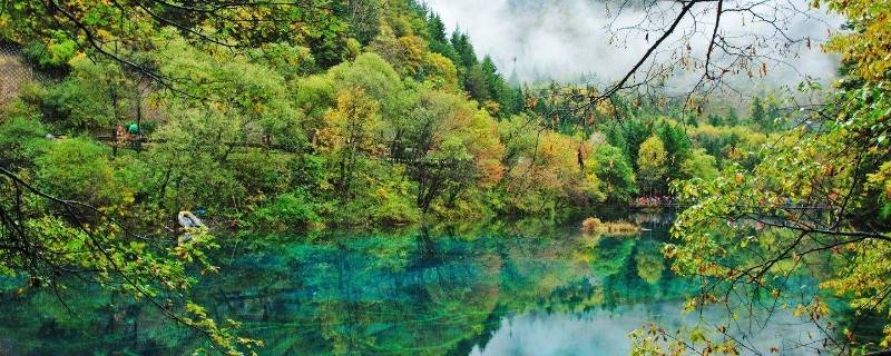 九寨沟在哪里(九寨沟在哪里？)