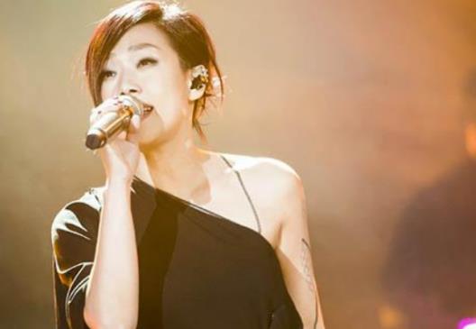 十大华人女歌手排行榜,王菲是实力派歌手、林忆莲受人瞩目