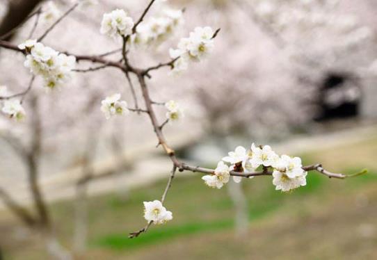 2022年打春哪些属相不能出去?打春当天洗头有什么说法没