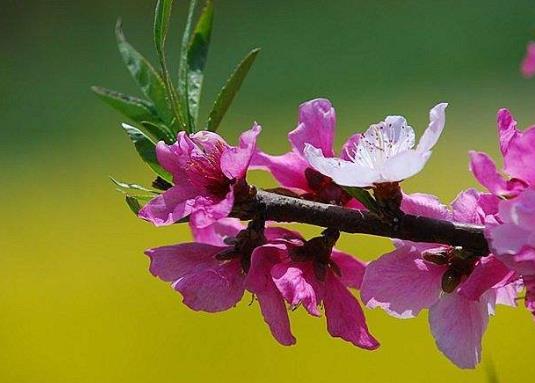 2022年打春哪些属相不能出去?打春当天洗头有什么说法没