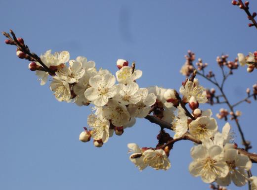 2022年打春哪些属相不能出去?打春当天洗头有什么说法没