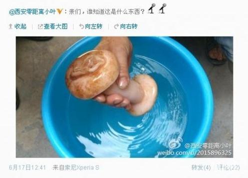 当事记者在微博上发问所谓的肉灵芝