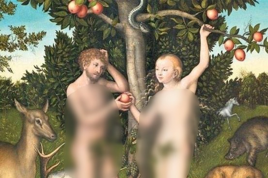 禁果是什么意思?禁果是什么水果?禁果效应是什么意思?