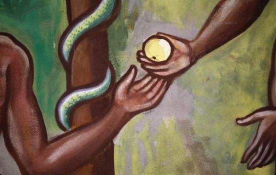 禁果是什么意思?禁果是什么水果?禁果效应是什么意思?