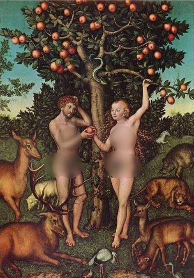 禁果是什么意思?禁果是什么水果?禁果效应是什么意思?