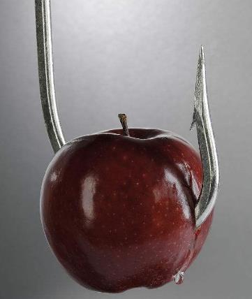 禁果是什么意思?禁果是什么水果?禁果效应是什么意思?