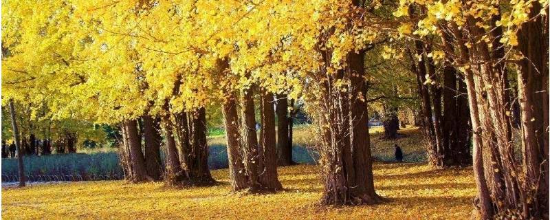 几月入秋(桂林市区几月份入秋？)