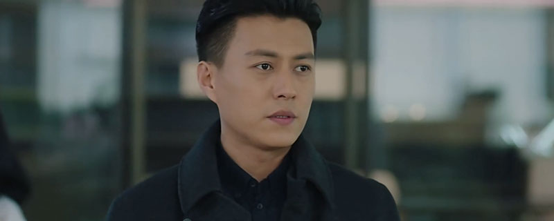 靳东主演的电视剧有哪些(靳东主演的全部电视剧有哪些)