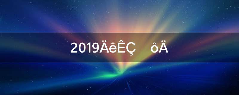 2019年是什么年啊(2019年是什么年？)