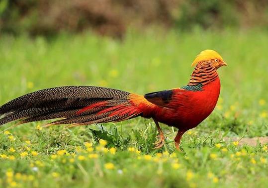 河南省漯河市十大旅游景点排行榜 漯河有什么好玩的地方