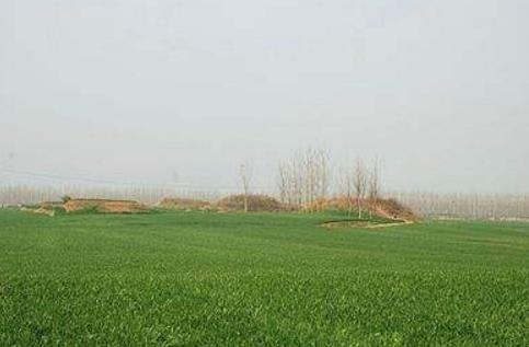 河南省漯河市十大旅游景点排行榜 漯河有什么好玩的地方