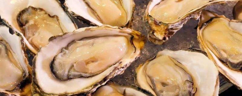 生蚝要蒸多久才会熟(生蚝一般蒸多久合适)