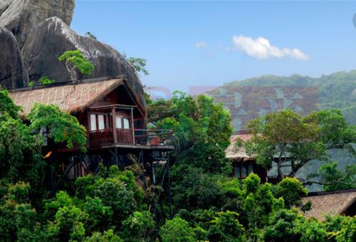 电影《非诚勿扰2》经典台词对白 经典语录名句赏析