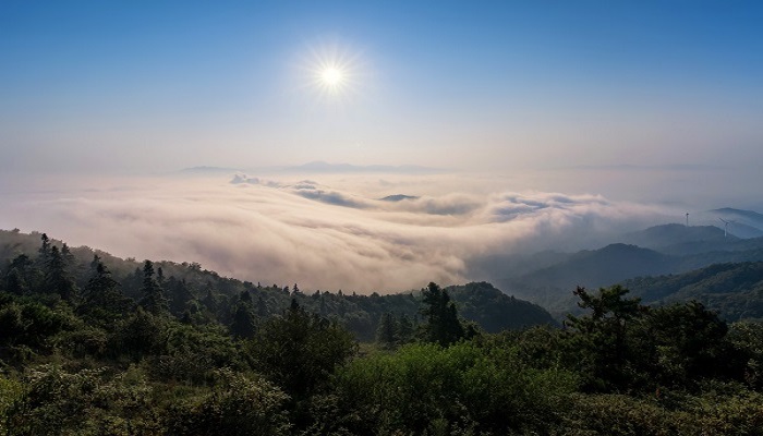 世界上最大的火山 世界上最大的火山是什么山
