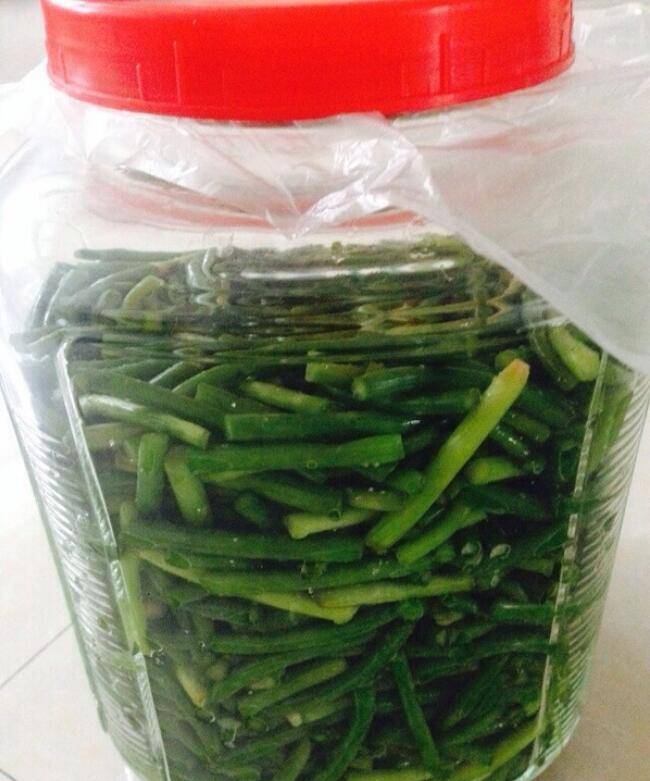 如何腌蒜苔(怎样腌制蒜苔)