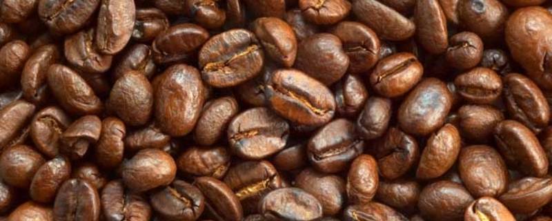 咖啡的故乡是哪里(咖啡的故乡是美洲还是非洲?)