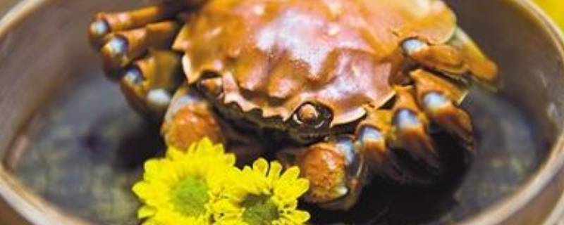 螃蟹清蒸多长时间(螃蟹蒸多长时间?)