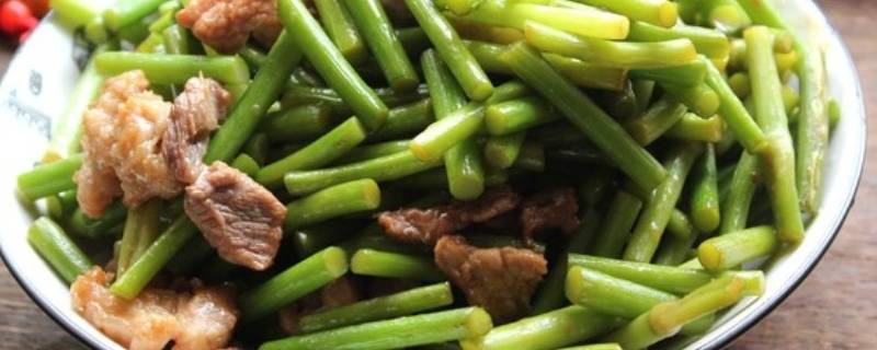 蒜苔怎么炒(蒜苔怎么炒好吃家常做法)