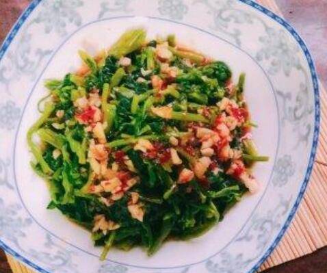 万年青怎么吃(万年青怎么吃)