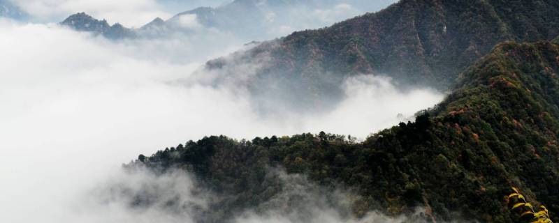 终南山在哪里(终南山在哪里)