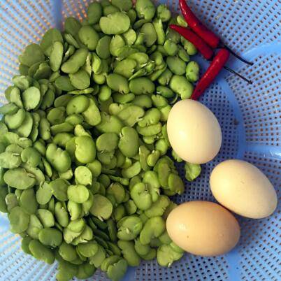 蚕豆怎么吃(老蚕豆怎么做好吃)