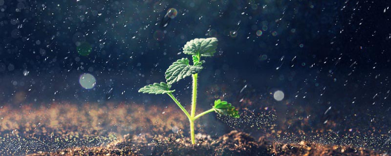 雨季三防是哪三防(什么是煤矿雨季三防)