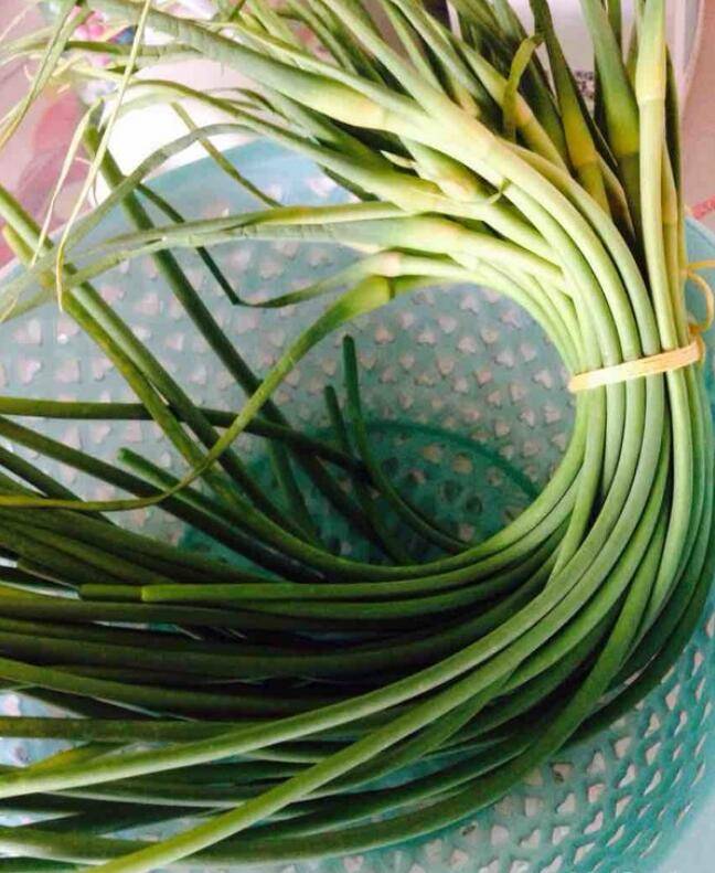 如何腌蒜苔(怎样腌制蒜苔)