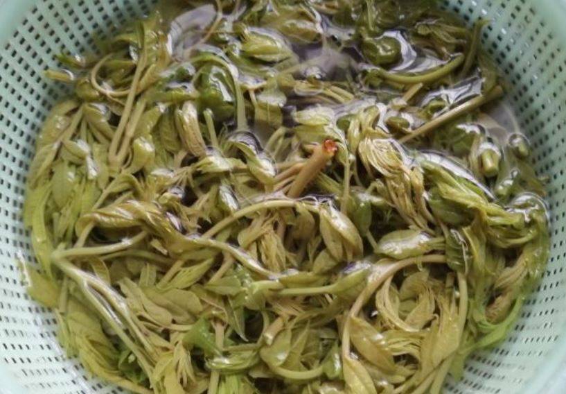 香椿芽怎么吃(干香椿芽的吃法大全)