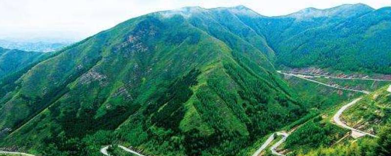 六盘山在哪(（1）六盘山位于哪个省? （2）长城东起哪里