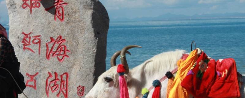 青海在哪个省(西宁青海属于哪个省)