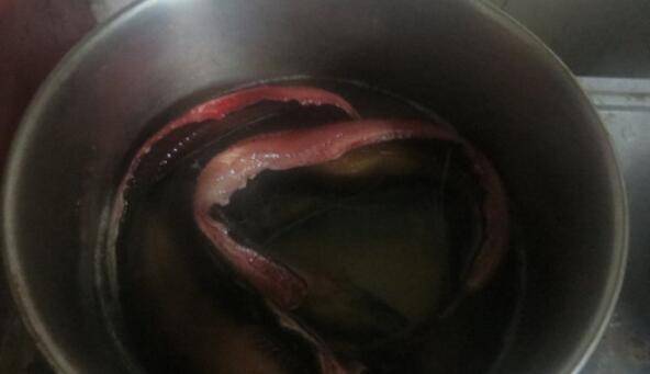 黄鳝怎么做好吃(大鳝鱼怎么做好吃大)