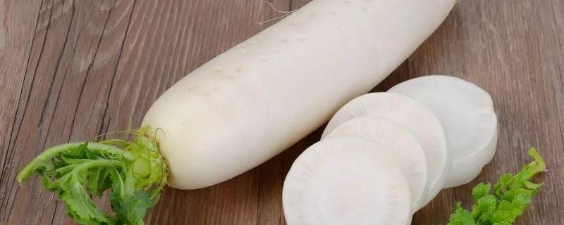 白萝卜做法(白萝卜的家常做法大全家常)
