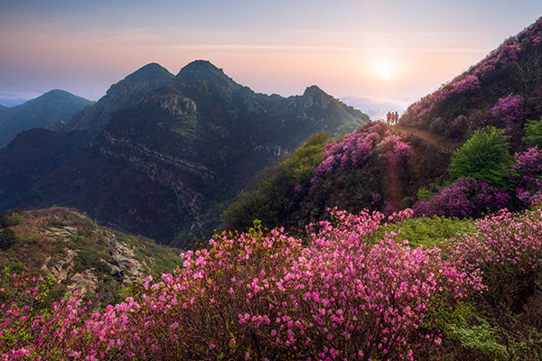 贵州旅游十大景点排名 贵州旅游景点排名