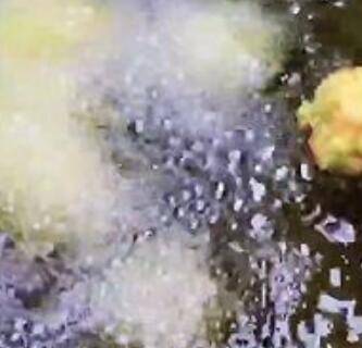 萝卜丸子做法(白萝卜丸子怎样做)