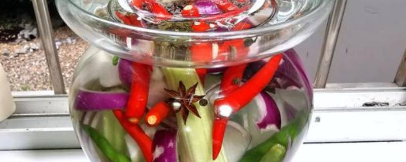 如何泡菜(泡菜怎样泡好吃)