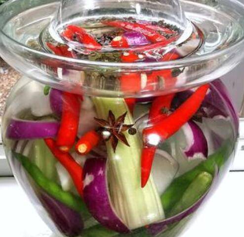 如何泡菜(泡菜怎样泡好吃)