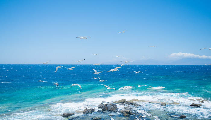洋流对地理环境的影响 洋流对地理环境的影响有哪些