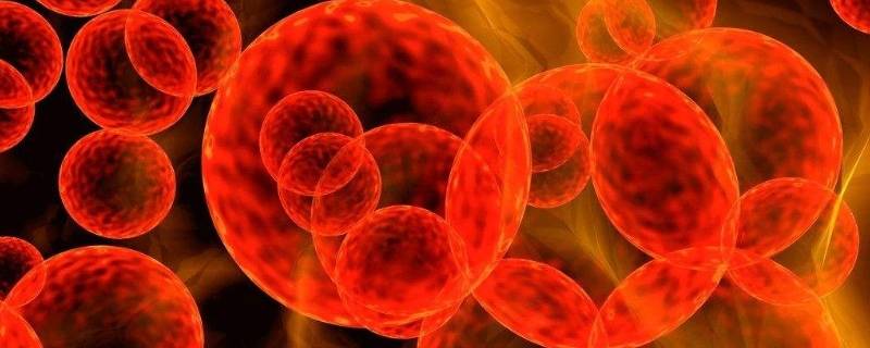 sars病毒是哪一年(非典是哪年)