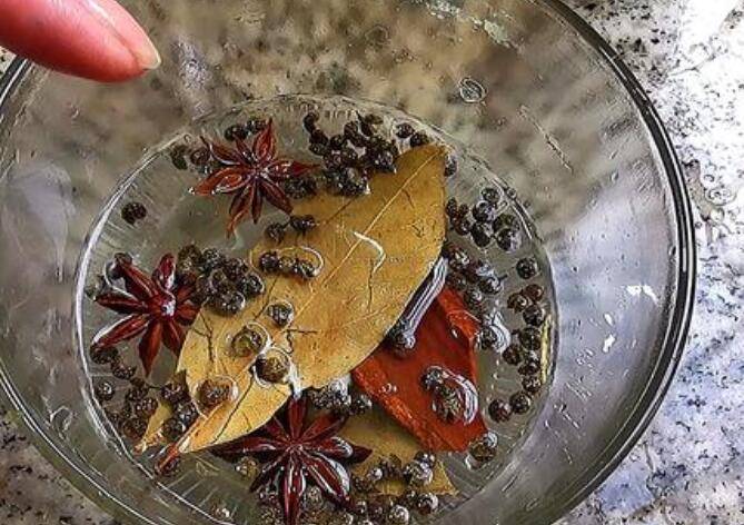如何泡菜(泡菜怎样泡好吃)