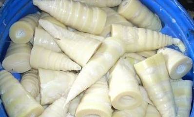 竹笋怎么处理(冬笋如何处理)