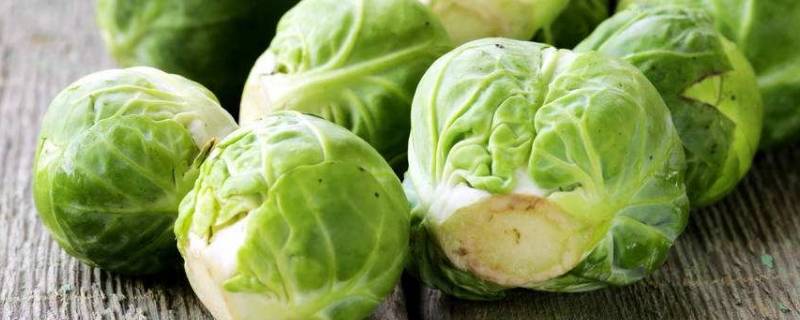 卷心菜怎么炒(圆白菜怎么炒才好吃)