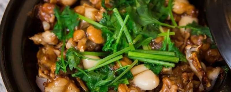 黄鳝怎么做好吃(大鳝鱼怎么做好吃大)