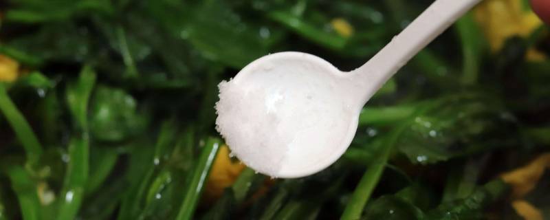 食盐保质期(食盐有保质期吗?过期能食用吗？)