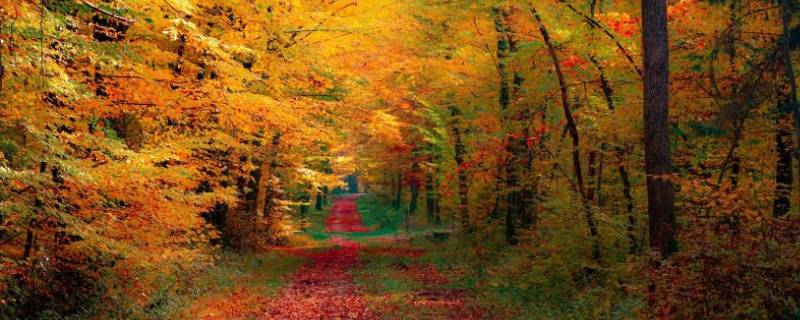 一年几个季度(一年有多少个季度)