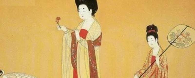 杨贵妃是怎么死的(古代四大美女之一的杨贵妃