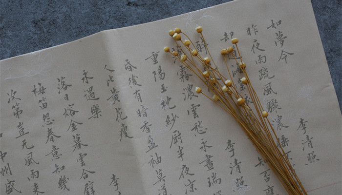 一方净土什么意思