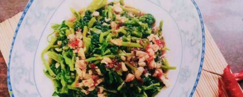 万年青怎么吃(万年青怎么吃)