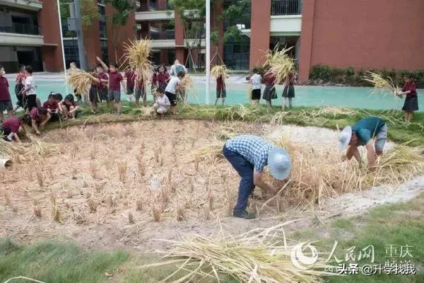 凭什么?开学第一天,重庆这所学校就火上了人民日报