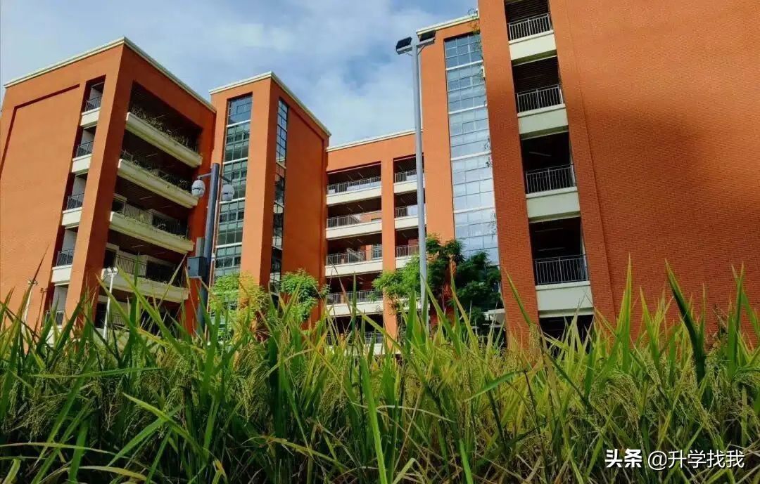 凭什么?开学第一天,重庆这所学校就火上了人民日报